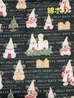 リルリンリン生地②　ハギレ