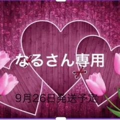 なるさん専用