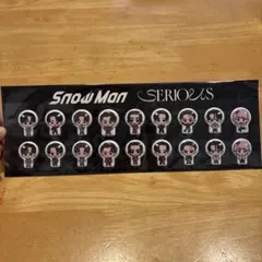 SnowMan Serious シリアス 特典 ステッカー すのぷくシール