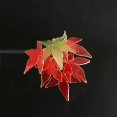 みい様 リクエスト 3点 まとめ商品