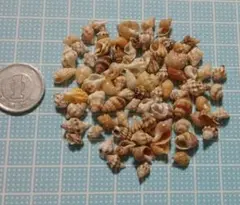 隙間三行様 リクエスト 3点 まとめ商品