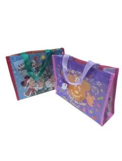 Item thumbnail for item 5cc91679-16a7-4111-8fb0-925db1b1788c