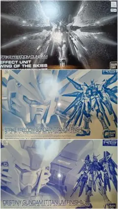 RG デスティニー&ストフリ チタニウムフィニッシュ2体セットのサムネイル