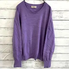 elgna パープルニット レディース 韓国風 着回し人気 完売級 体型カバー✨