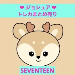 ジョシュア　トレカ　seventeen