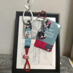 HAPPY Campers◆CHUMS◆