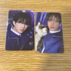 スキズ　チャンビン　STAYZONE トレカ