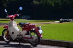 リトルカブ50　キャブ　3速