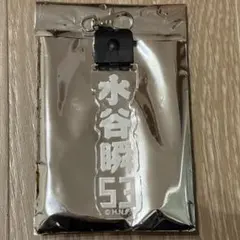 ✨新品✨ 水谷瞬 #53 北海道日本ハムファイターズ 光るアクリルキーホルダー