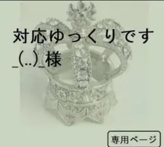 対応ゆっくりです様　専用（326）