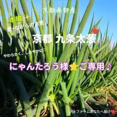 ⭐️にゃんたろう様✨️ご専用です♪♪（1キロ束♡）