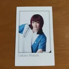 ミュージカルテニスの王子様 六角 ポラショ 向日岳人