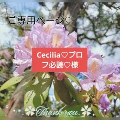 Cecilia♡プロフ必読♡様 ご専用ページ♡