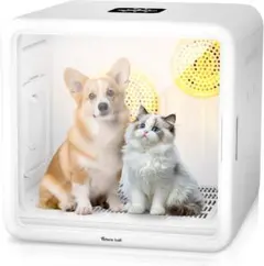 Item thumbnail for item 99ca50f2-3fb9-41ae-b321-a9888cfd71c0