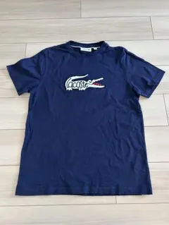 LACOSTE TシャツUS M