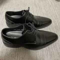 Item thumbnail for item 17c4cad2-bc0f-4160-bb14-d171ea877a43