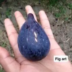 sakalu様 リクエスト 3点 まとめ商品