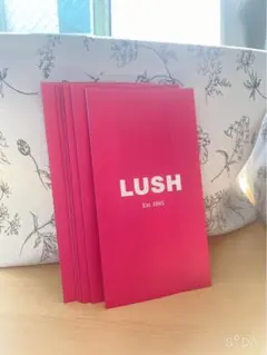 LUSH♡ラッシュ♡ロゴ入り小分け袋のサムネイル