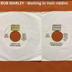 BOB MARLEY Waiting in Vain リディム　2枚