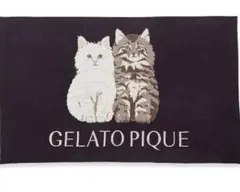 ジェラピケ　ツインキャットジャガードブランケット