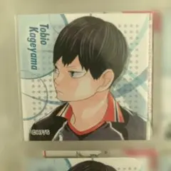 ハイキューTobio Kageyama シール１２枚
