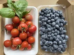 ミニトマトとブルーベリーの詰め合せ、農薬不使用です ♪♪のサムネイル
