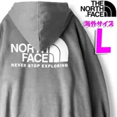 ノースフェイス パーカー メンズ バックプリント グレー 海外Lサイズ tb