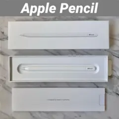 【美品】Apple Pencil / USB-Cモデル / MUWA3ZA/A
