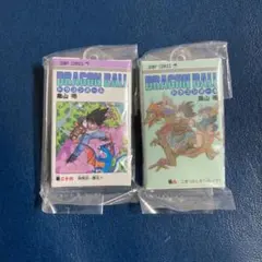 Item thumbnail for item fc728a31-15f0-4f94-b2f7-7120f498271b