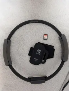 リングアドベンチャーNintendo Switchレッグバンド付