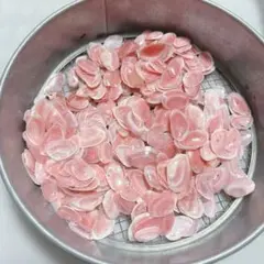 桜貝 サクラガイ 50ｇ