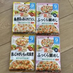和光堂 離乳食 具たっぷり 9ヶ月頃から 4袋セット