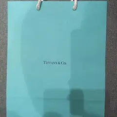 Tiffany & Co. ショップ袋 ショッパーのサムネイル