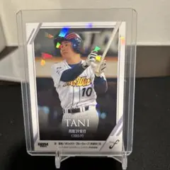 Item thumbnail for item c618e81b-e4c1-4619-b1e8-3e78ee558dfd