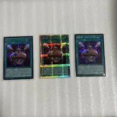2026年最新】遊戯王 引退品 ファイルの人気アイテム - メルカリ