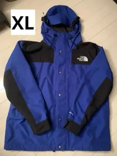 THE NORTH FACE 1990 mountain jacket gtx