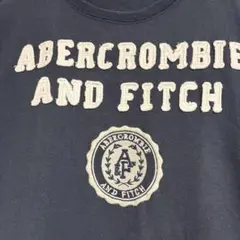 Abercrombie & Fitch ネイビー Tシャツ XL