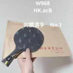 卓球ラケット 王皓ワン ハオ N301 001番 特注 CS 中ペン - メルカリ
