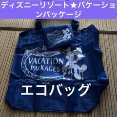 東京ディズニーリゾート★バケーションパッケージ・エコバッグ・非売品・ミッキー