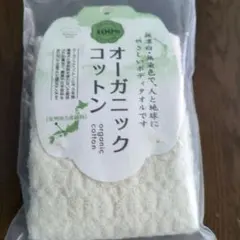 Item thumbnail for item 099441dc-b9ea-4348-9812-5bfa6073a934