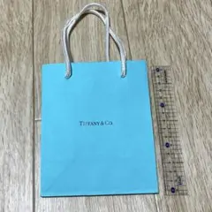 Item thumbnail for item a1729df1-d360-41e4-a641-ae192d2628de