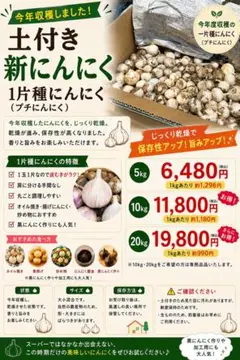 【今年収穫・土付きにんにく】希少！1片種にんにく（プチにんにく） 今年収穫・土付きにんにく】希少！1片種にんにく（プチにんにく