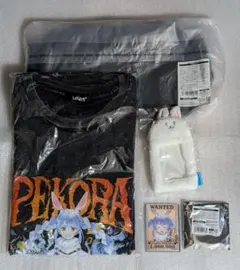 兎田ぺこら 誕生日記念2025 数量限定　直筆サイン　セット　ホロカなし