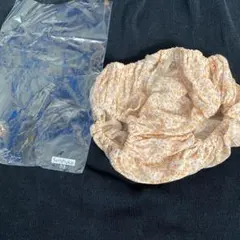 スキャンティ　千趣会