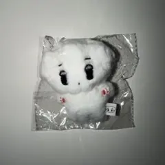 aespa ニンニン ぬいぐるみ マスターさん - メルカリ