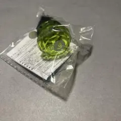 MECHATU-A 1st LIVE リングライト 伊波ライ