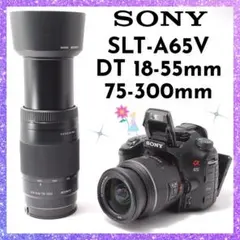 ❤即購入1000円OFF❤ソニー SONY α65 超望遠レンズ × 高速AF