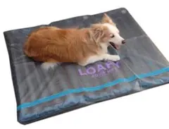 DOGS ペット ウォーターベッド 3L 介護　床ずれ 体圧分散 LOAFYのサムネイル