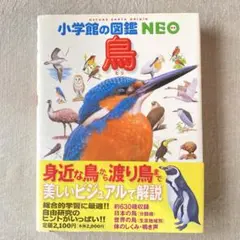 Item thumbnail for item fb92bee5-5cde-4569-b996-afb3a5f590ab