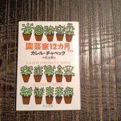 Item thumbnail for item a0b7c8ef-b287-4c44-a0ea-043344b45161